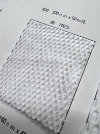 800 [Beschichtung] Unterfoto