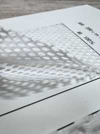 800 [Beschichtung] Unterfoto