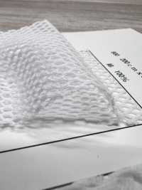 800 [Beschichtung] Unterfoto