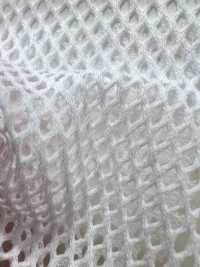 800 [Beschichtung] Unterfoto