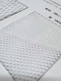 MY45 [Beschichtung] Unterfoto