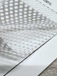 MY45 [Beschichtung] Unterfoto