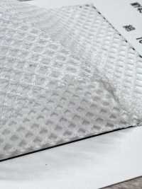 MY45 [Beschichtung] Unterfoto