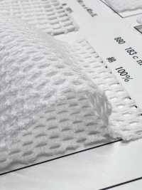 880 [Beschichtung] Unterfoto