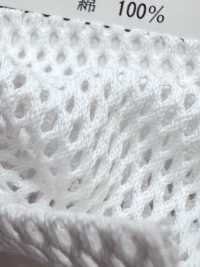 880 [Beschichtung] Unterfoto