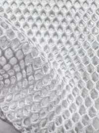 T800 [Beschichtung] Unterfoto