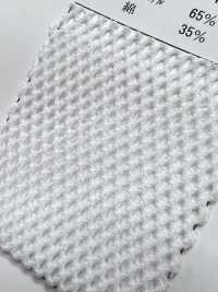 8800 [Beschichtung] Unterfoto