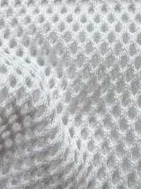 8800 [Beschichtung] Unterfoto