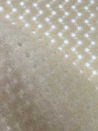 6400 [Beschichtung] Unterfoto