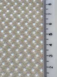 6400 [Beschichtung] Unterfoto