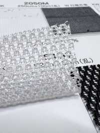 5197 [Beschichtung] Unterfoto