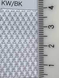 5197 [Beschichtung] Unterfoto