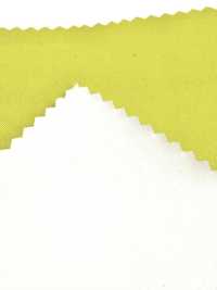 LT-24 Polytec Light[Textilgewebe] Masuda Unterfoto