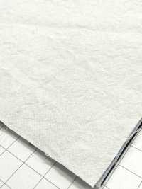 KINANADAKI-31 KINANADAKI 31, Fizz Fizz Fizz Fizz~~[Textilgewebe] Komatsuwa Textile Unterfoto