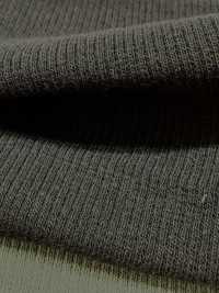 1078651 ALBINI RETWIST Spandex TERECO Rippengewebe[Textilgewebe] TAKISADA NAGOYA Unterfoto