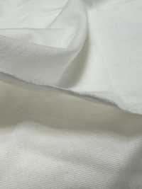 1078420-OUTLET ALBINI SEA ISLAND COTTON Jersey[Textilgewebe] TAKISADA NAGOYA Unterfoto