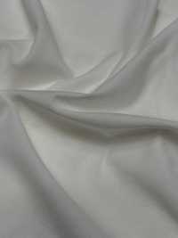 1078420-OUTLET ALBINI SEA ISLAND COTTON Jersey[Textilgewebe] TAKISADA NAGOYA Unterfoto