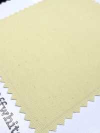 FS003001A Tussar (Ny7OD × Ny160D) Wasserabweisend × Acrylbeschichtung[Textilgewebe] Unterfoto