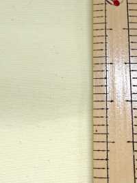 FS003001A Tussar (Ny7OD × Ny160D) Wasserabweisend × Acrylbeschichtung[Textilgewebe] Unterfoto