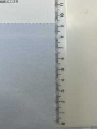 FJ200140 30/ CLEANSE Jersey[Textilgewebe] Fujisaki Textile Unterfoto