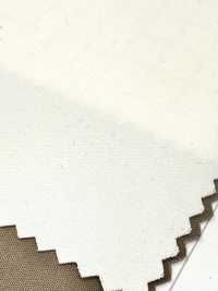 86317 Kompaktes Doppel-Satin-Licht[Textilgewebe] Parika Unterfoto