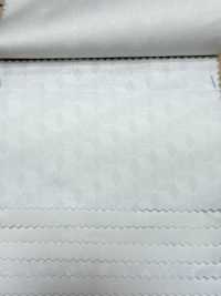 A-1537 Jacquard[Textilgewebe] ARINOBE Unterfoto