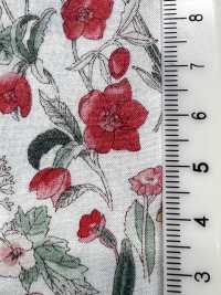7027-815-1 CR Rasen Botanische Kleine Blumen[Textilgewebe] HOKKOH Unterfoto