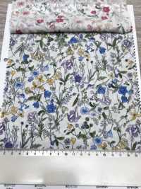 7027-815-1 CR Rasen Botanische Kleine Blumen[Textilgewebe] HOKKOH Unterfoto