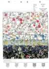 7027-815-1 CR Rasen Botanische Kleine Blumen