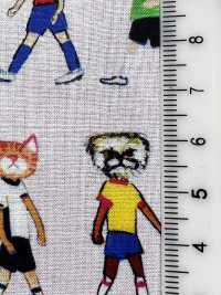 DP-7940-5 60 Rasen-Tintenstrahldruck Katze Seersucker[Textilgewebe] HOKKOH Unterfoto