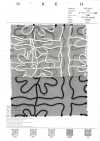 7027-416-1 Organza-Kordel-Stickereiquadrat