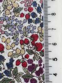7027-618-1 60 Rasen 9088 Beerenmuster[Textilgewebe] HOKKOH Unterfoto