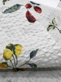 7027-630-5 80 Rasen Miracle Wave Früchte[Textilien / Stoffe] HOKKOH Weitere Fotos