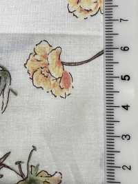 7027-640-5 80 Rasenpflanzen[Textilgewebe] HOKKOH Unterfoto