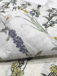 3027-650-1 60 Rasenstreifen-Blumenmuster[Textilgewebe] HOKKOH Unterfoto
