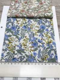 3027-650-2 60 Rasenblumen[Textilgewebe] HOKKOH Unterfoto