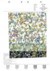 3027-650-4 60 Rasen-Pop-Blumen