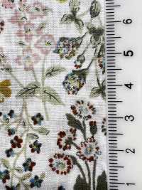 3027-650-12 60 Kleine Rasenblumen[Textilgewebe] HOKKOH Unterfoto
