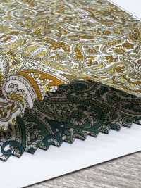 3027-650-13 60 Rasen Paisley[Textilgewebe] HOKKOH Unterfoto