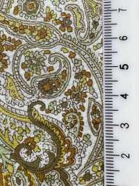 3027-650-13 60 Rasen Paisley[Textilgewebe] HOKKOH Unterfoto