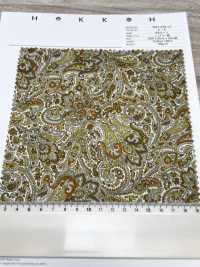 3027-650-13 60 Rasen Paisley[Textilgewebe] HOKKOH Unterfoto