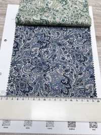 3027-650-13 60 Rasen Paisley[Textilgewebe] HOKKOH Unterfoto