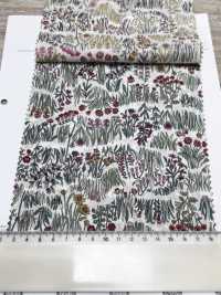 4027-660-1 60 Rasenkurven, Horizontale Streifen, Kleine Blumen[Textilgewebe] HOKKOH Unterfoto