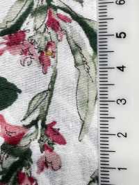 4027-660-5 60 Aquarellblumen Für Den Rasen[Textilgewebe] HOKKOH Unterfoto