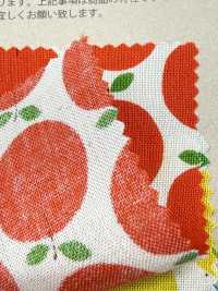 850612 Lawn Unbleiche Cotton Little Pocket "Rindo"[Textilgewebe] VANCET Unterfoto