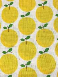 850612 Lawn Unbleiche Cotton Little Pocket "Rindo"[Textilgewebe] VANCET Unterfoto