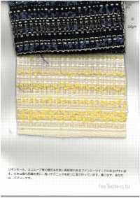 2573 Zierband Mit Horizontalen Streifen[Textilgewebe] Feine Textilien Unterfoto