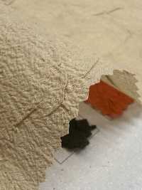 DWFM-SCGAEW0008W Waschfinish, Transparenter Stoff[Textilgewebe] Unterfoto