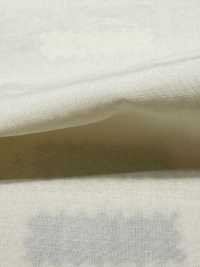 DWFM-DCGAEH0038W Tencel™ Baumwoll-Batist[Textilgewebe] Unterfoto