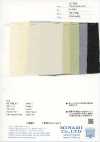 W-47811 Transparenter Jersey